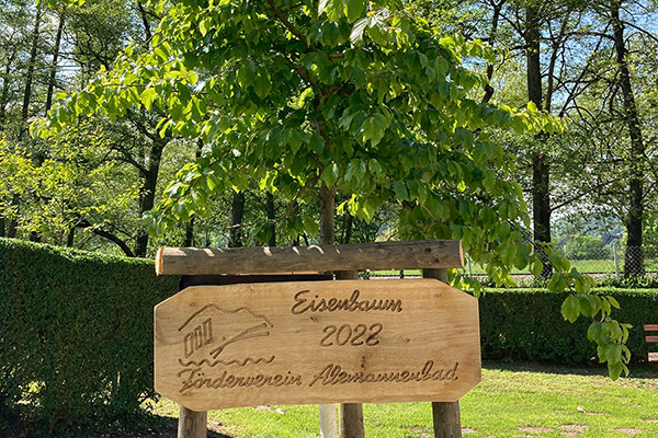 Der Förderverein pflanzt 2022 neue Bäume im Bad